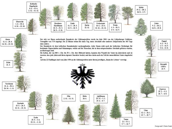 Der keltische Baumkreis - Gilde-Lütjenburg